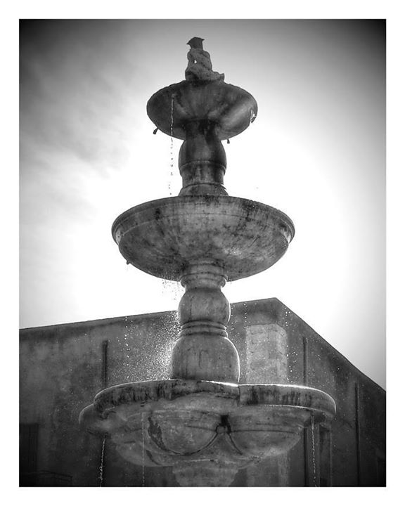 1° CLASSIFICATO: foto di Patrizia Scrudato