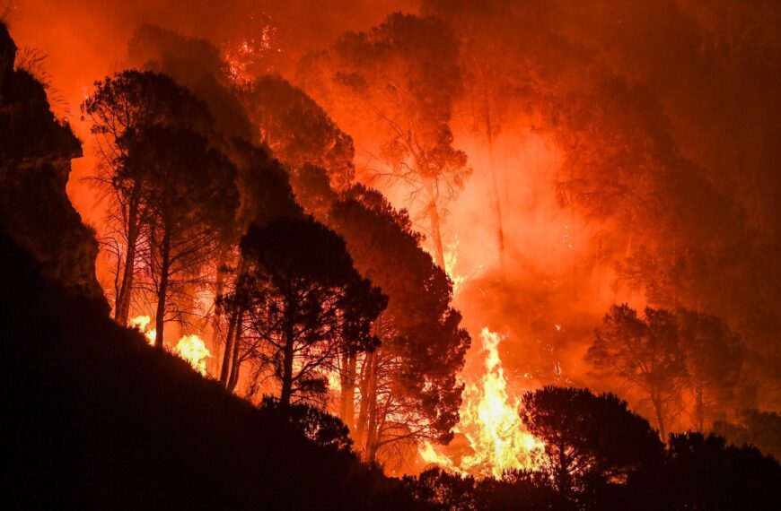 Incendi Monti Sicani, Chinnici: “Schifani e Savarino riferiscono subito in Aula e Antimafia intervenga