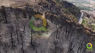 Monti Sicani dopo l’incendio | Le&hellip;