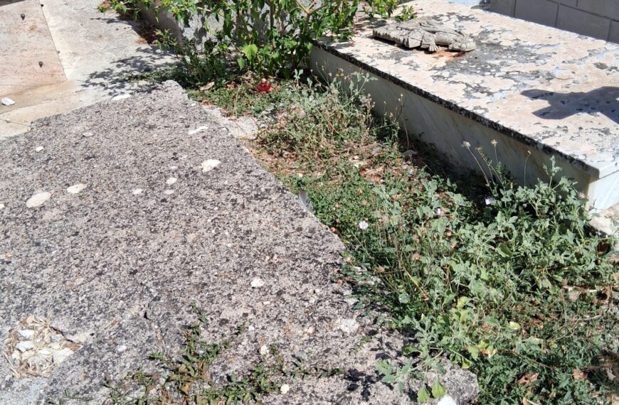 Cimitero e parco urbano, le criticità segnalate dal Gruppo Stefanese Fianco a Fianco